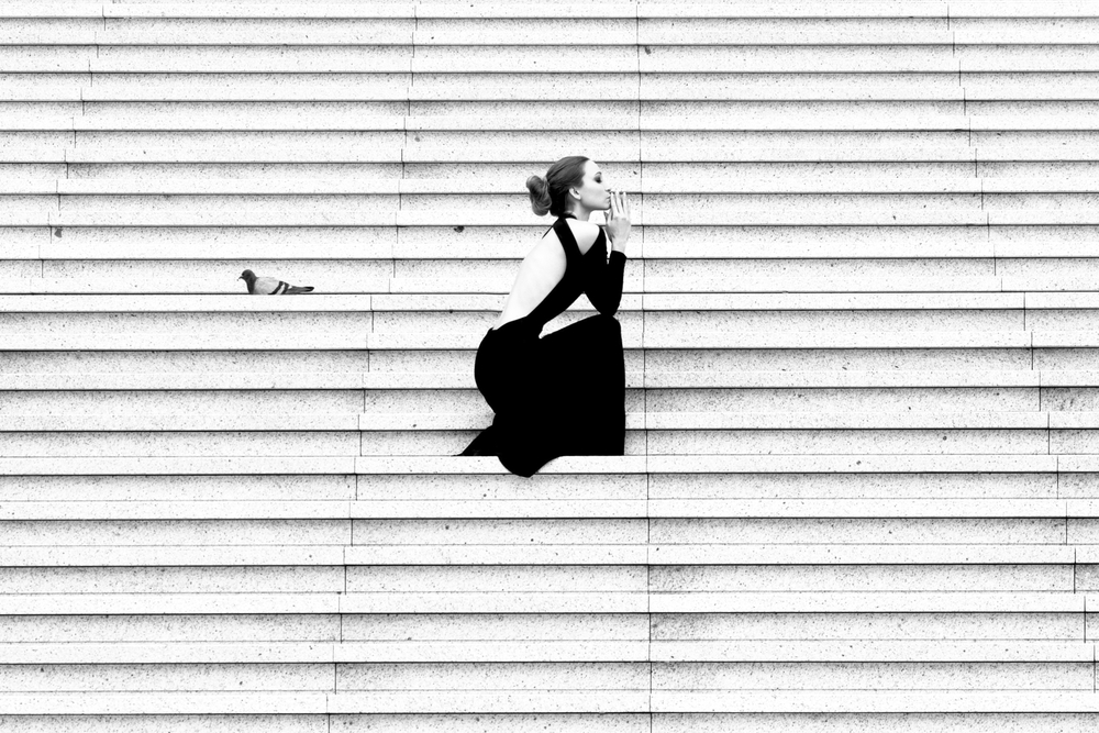 Les oiseaux
