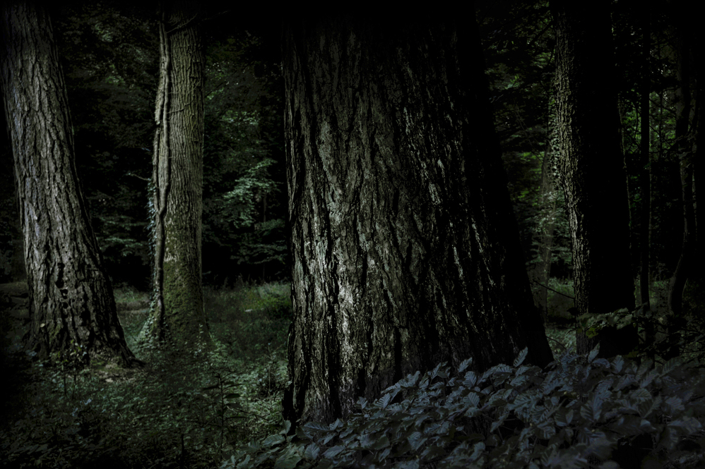 Dark_3